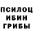 Галлюциногенные грибы GOLDEN TEACHER Progbloke 66